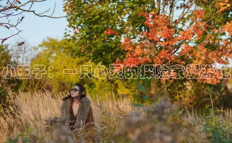 丫丫漫画免看漫画